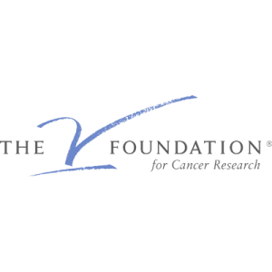 The V Foundation