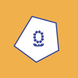 Brooklyn Football Foundation logo